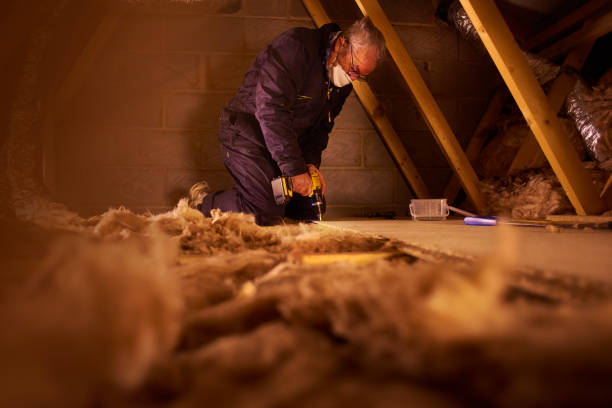 Best Types of Insulation in Manitowoc, WI