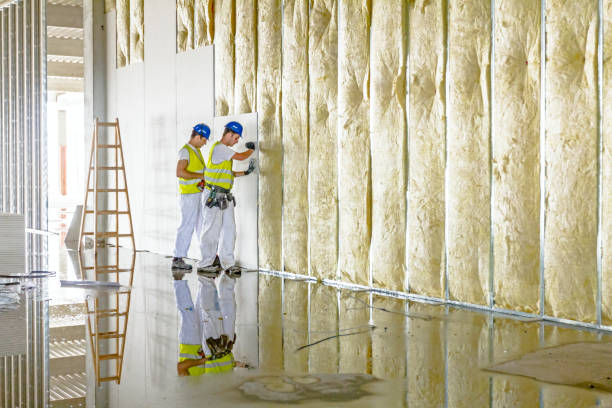 Best Insulation Installation Services in Manitowoc, WI